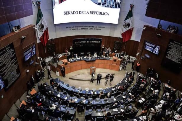 Senado aprueba ingreso temporal de marines de EE UU para 2026