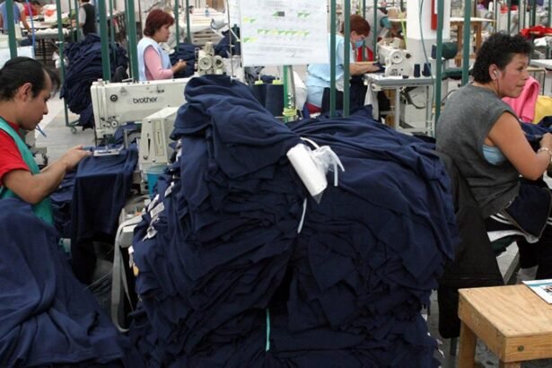 Puebla, tercer estado con más unidades económicas en México