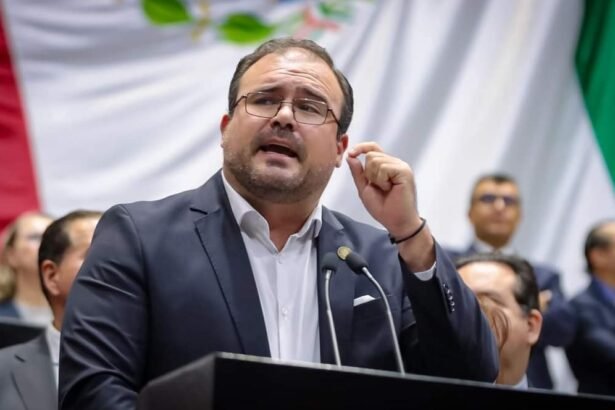 México refuerza sanciones contra la tala ilegal de bosques