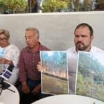 Proponen aumentar penas por tala ilegal para frenar deforestación