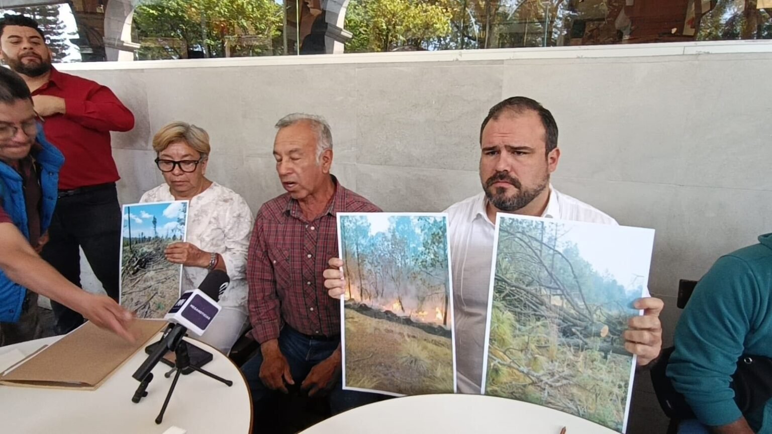 Proponen aumentar penas por tala ilegal para frenar deforestación