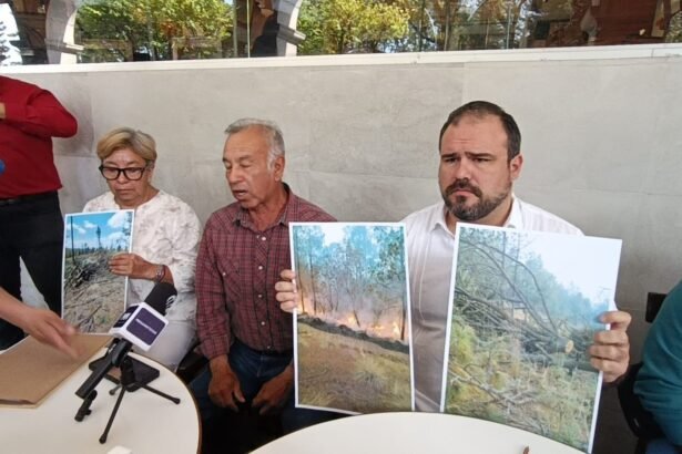 Proponen aumentar penas por tala ilegal para frenar deforestación