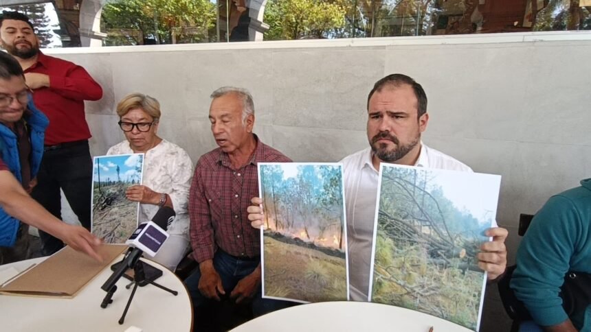 Proponen aumentar penas por tala ilegal para frenar deforestación